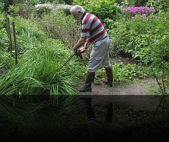 Boerentuin onderhoud 1